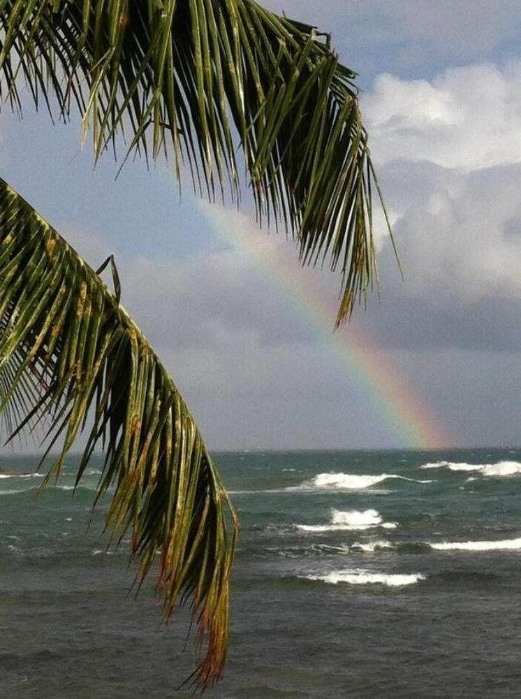 Rainbow Beach Apartments & Rooms Calibishie Esterno foto